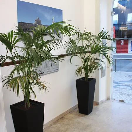 Estrela De Arganil - Luis Simoes & Conceicao, Lda